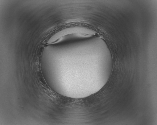 X0000080691062200701121719