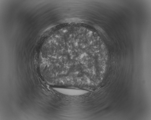 X0000080691063200701121719