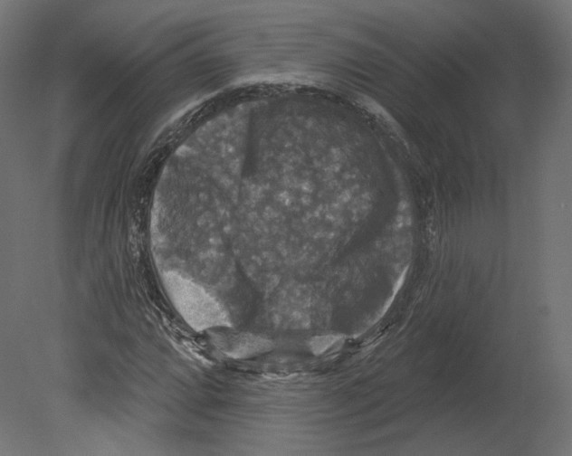 X0000080691064200701121719