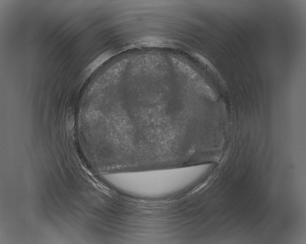 X0000080691065200701121719