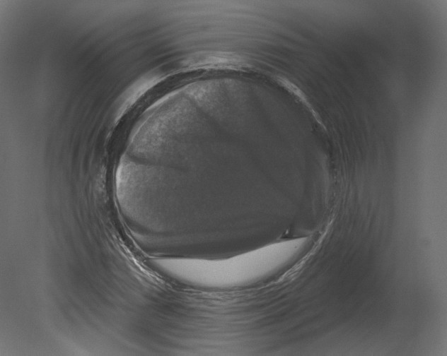 X0000080691066200701121719