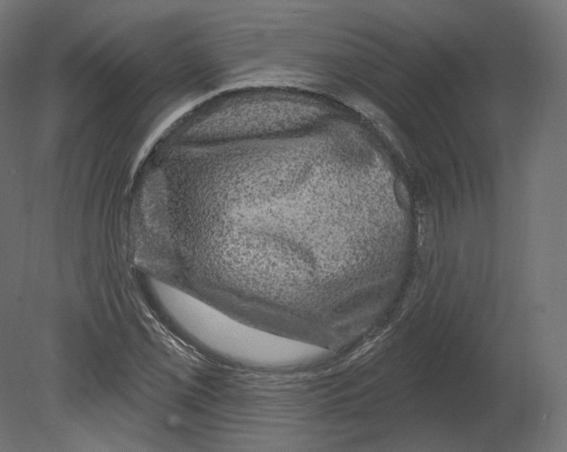 X0000080691069200701121719