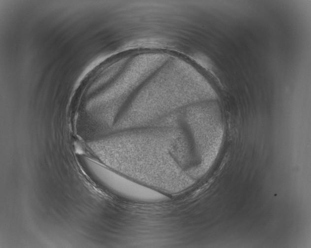 X0000080691070200701121719