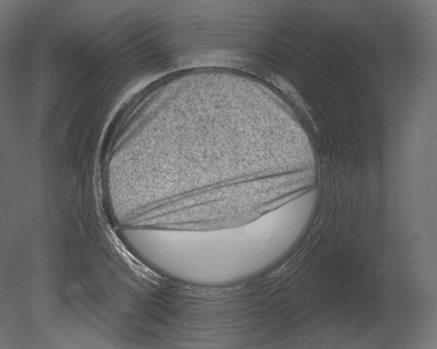 X0000080691072200701121719