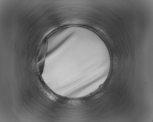 X0000080691073200701121719