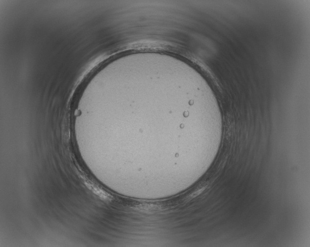 X0000080691075200701121719