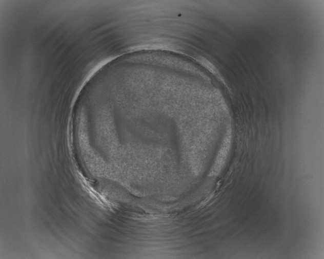 X0000080691076200701121719