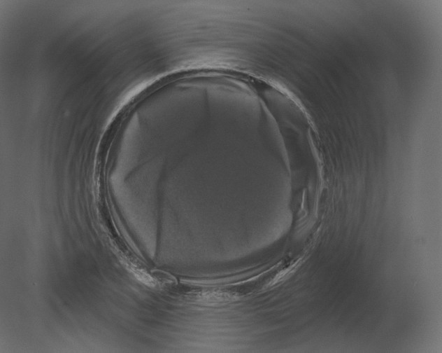 X0000080691077200701121719