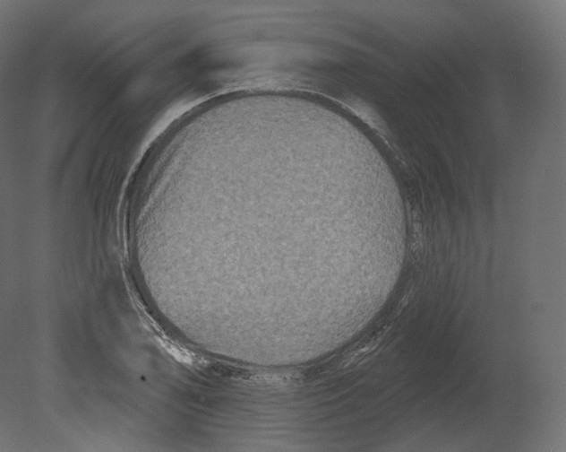 X0000080691078200701121719