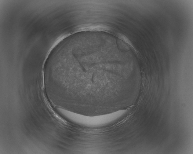 X0000080691079200701121719