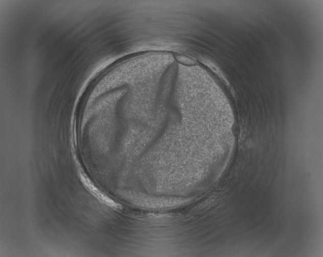 X0000080691080200701121719