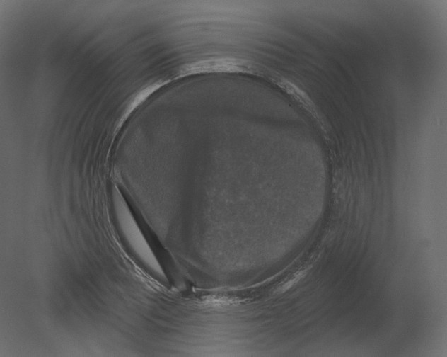 X0000080691081200701121719