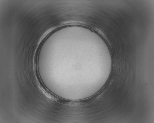 X0000080691082200701121719