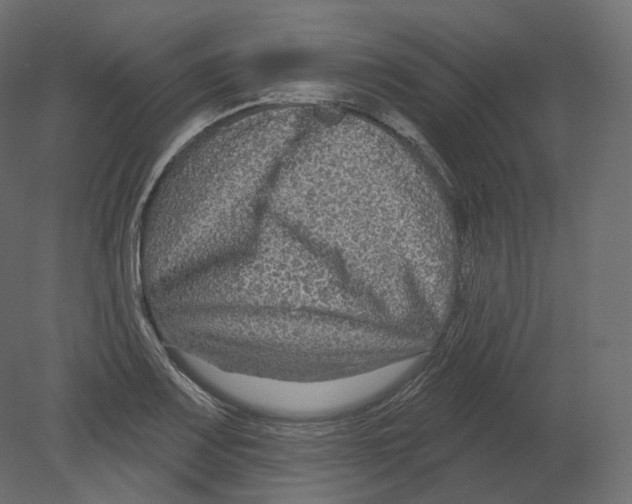 X0000080691083200701121719