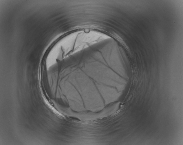 X0000080691084200701121719