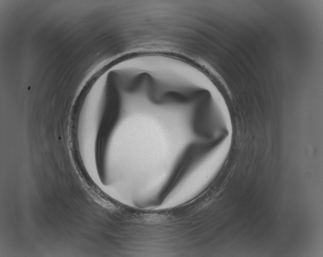 X0000080691085200701121719