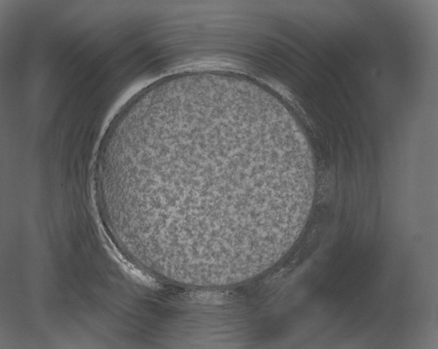 X0000080691086200701121719