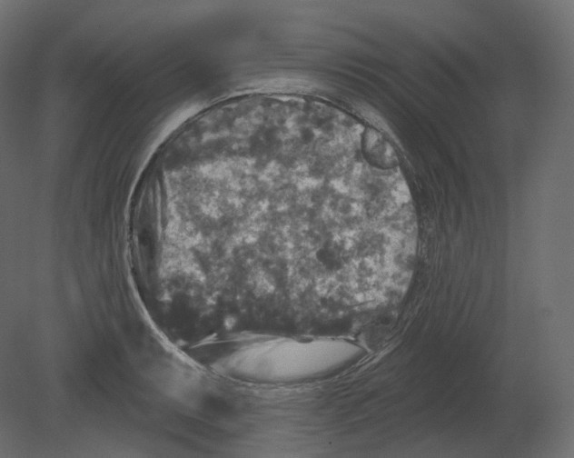 X0000080691087200701121719