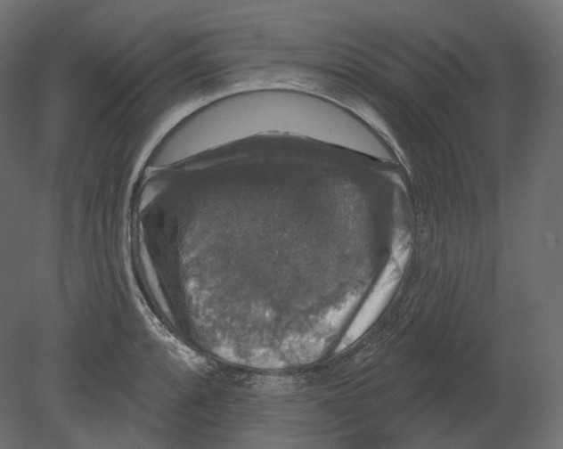 X0000080691088200701121719