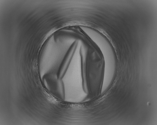 X0000080691089200701121719