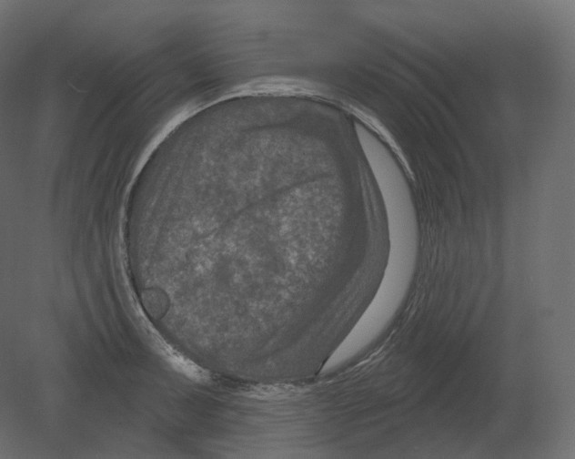 X0000080691091200701121719