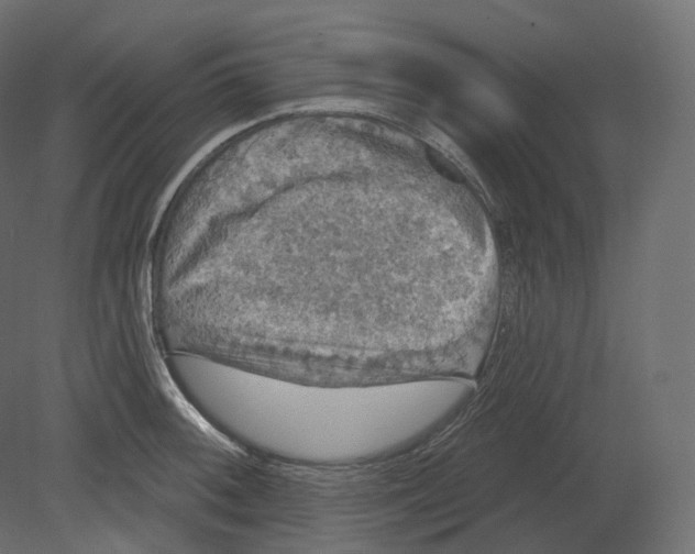 X0000080691092200701121719