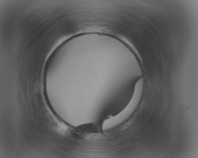 X0000080691093200701121718