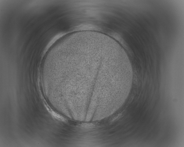 X0000080691094200701121718