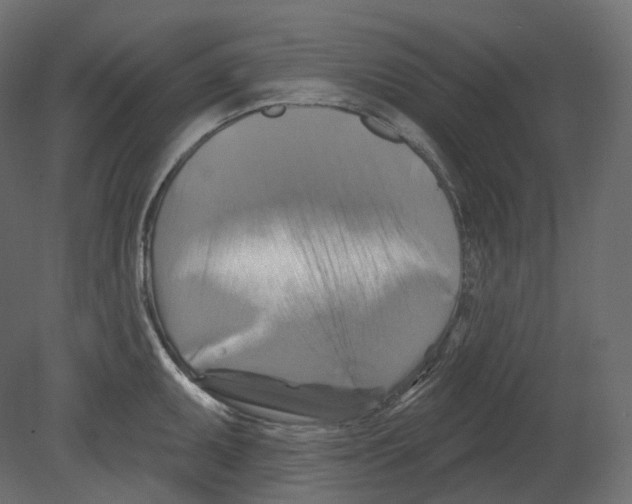 X0000080691095200701121718