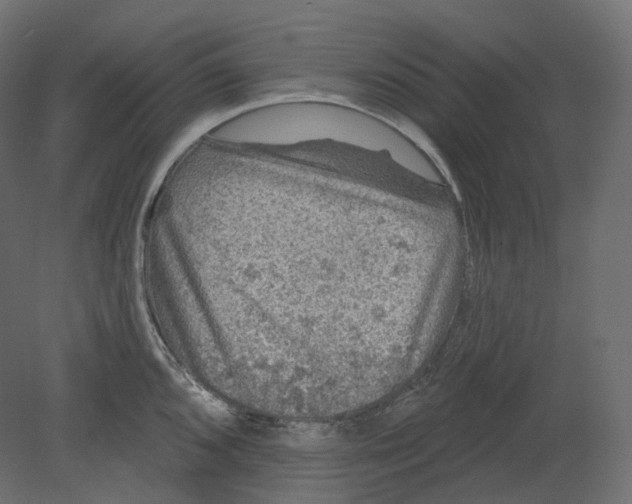 X0000080691096200701121718