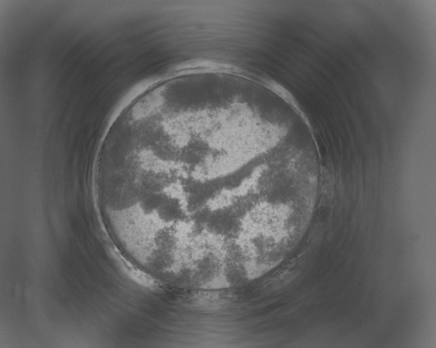 X0000080691098200701121718