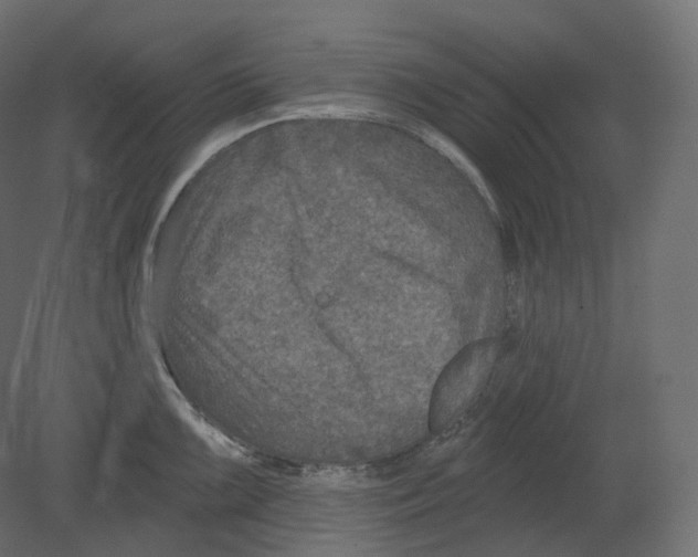 X0000080691099200701121718