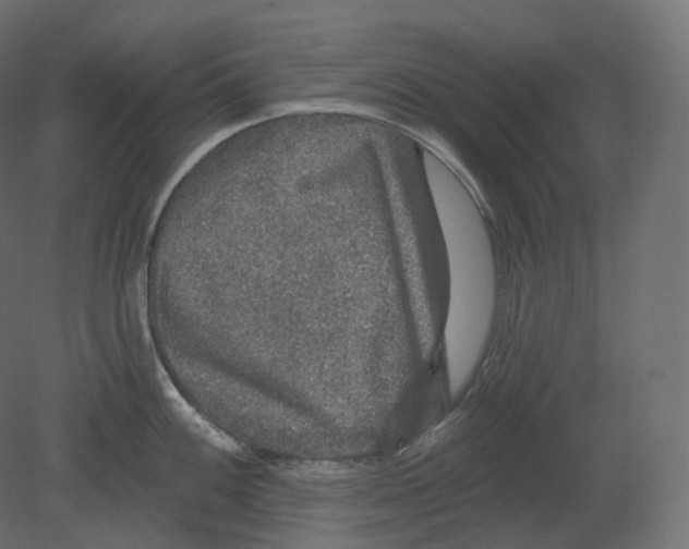 X0000080691100200701121718