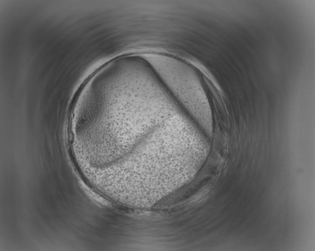 X0000080691101200701121718