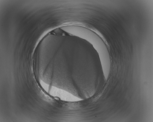 X0000080691102200701121718