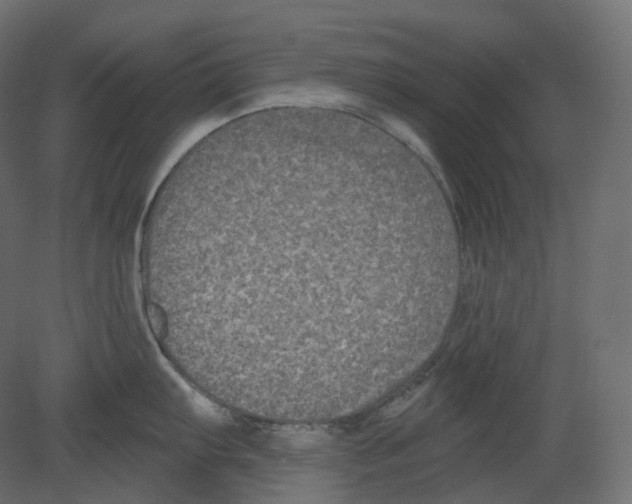 X0000080691103200701121718