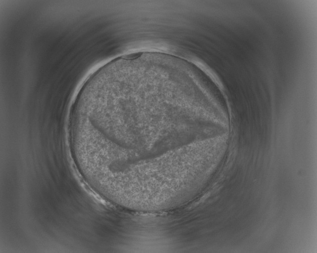 X0000080691104200701121718