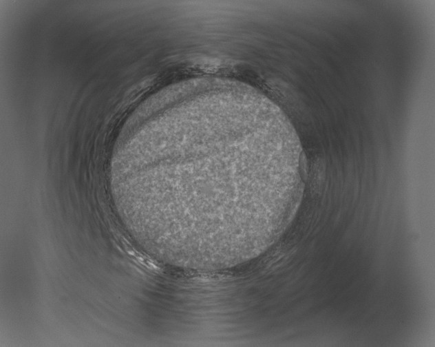 X0000080691105200701121717