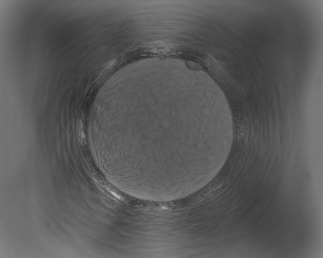 X0000080691106200701121717