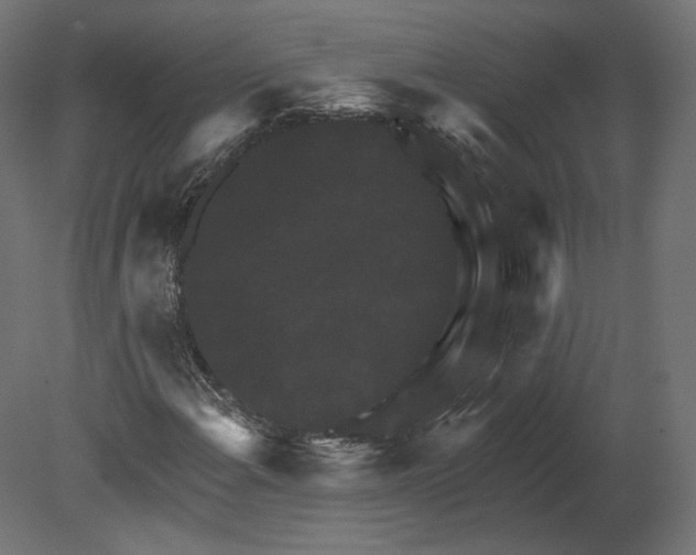 X0000080691108200701121718