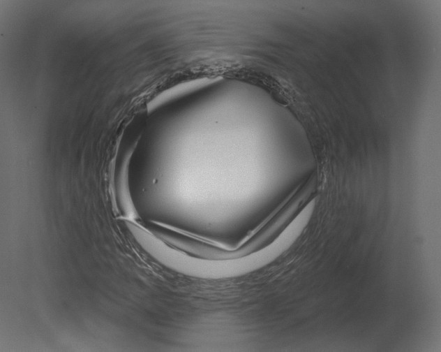 X0000080691109200701121718