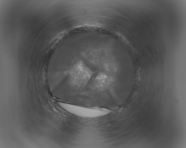 X0000080691110200701121718