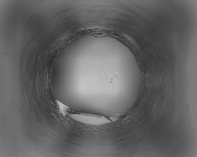 X0000080691111200701121718