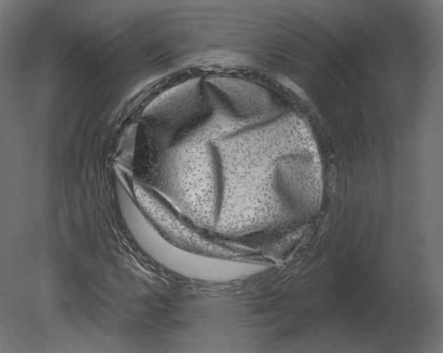 X0000080691112200701121718