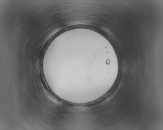 X0000080691113200701121718