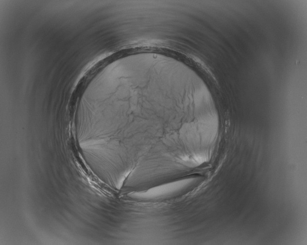 X0000080691117200701121718