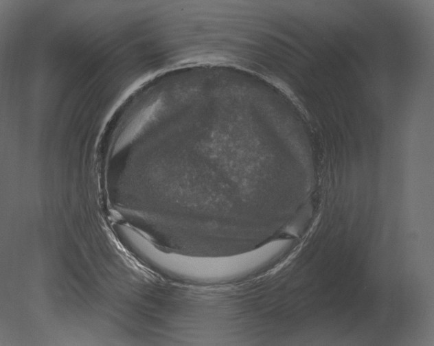 X0000080691118200701121718