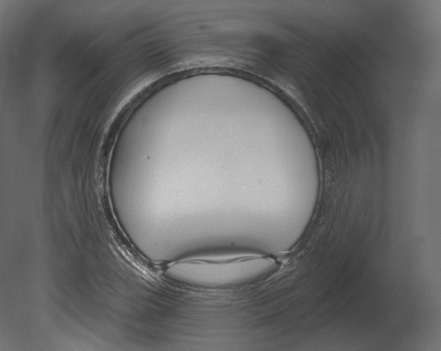 X0000080691119200701121718