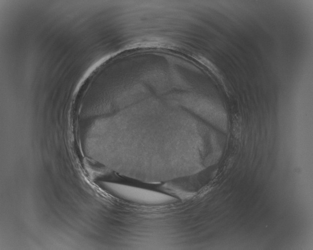 X0000080691120200701121718