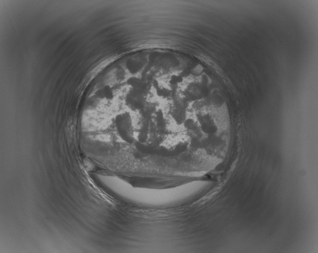 X0000080691121200701121718